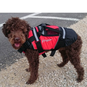 Barney mit Petfloat Schwimmveste